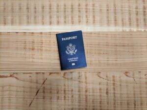 Voluntary and forced repatriation: differences and challenges